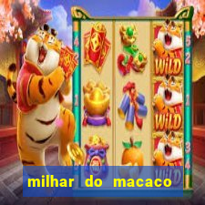 milhar do macaco que mais saem no jogo do bicho